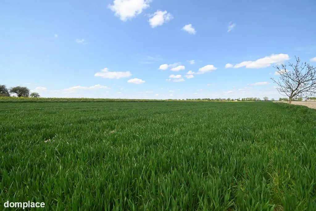 PODOLE - Działka budowlana o powierzchni 13,4 arów.
