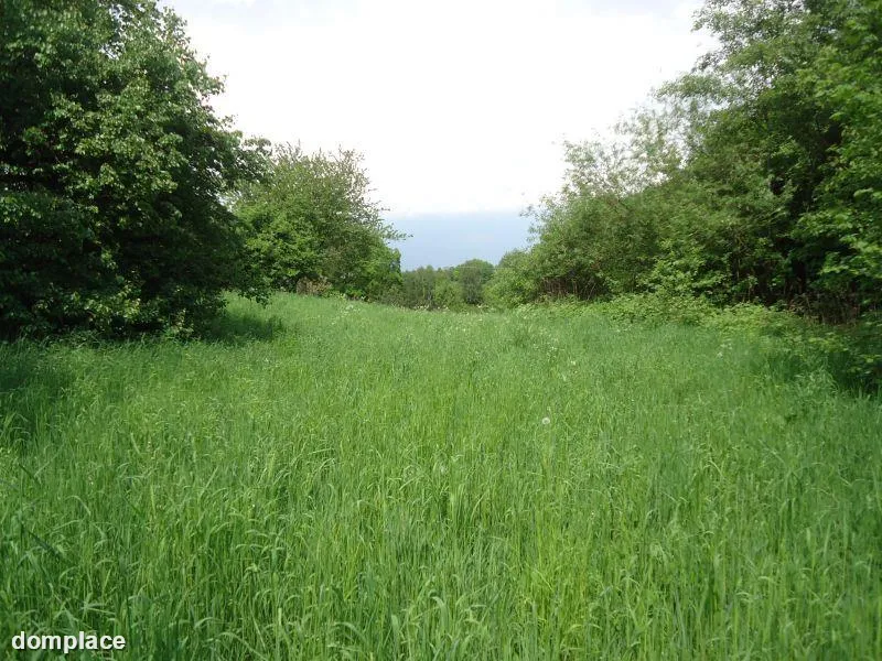 Działka — ŚWIDNIK
