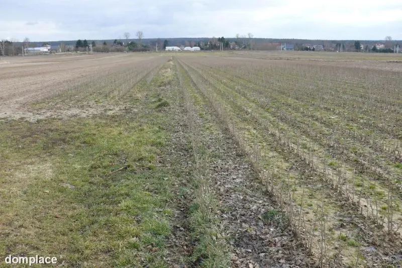 Działka w doskonałej lokalizacji-5 min. od Zalewu
