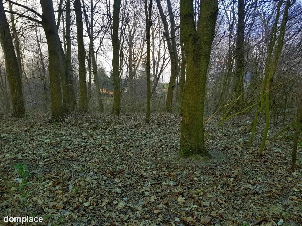 Kocianów - działka leśna - 33 ar