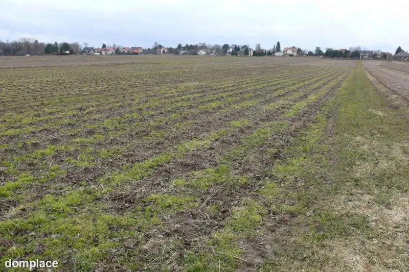 Działka w doskonałej lokalizacji-5 min. od Zalewu