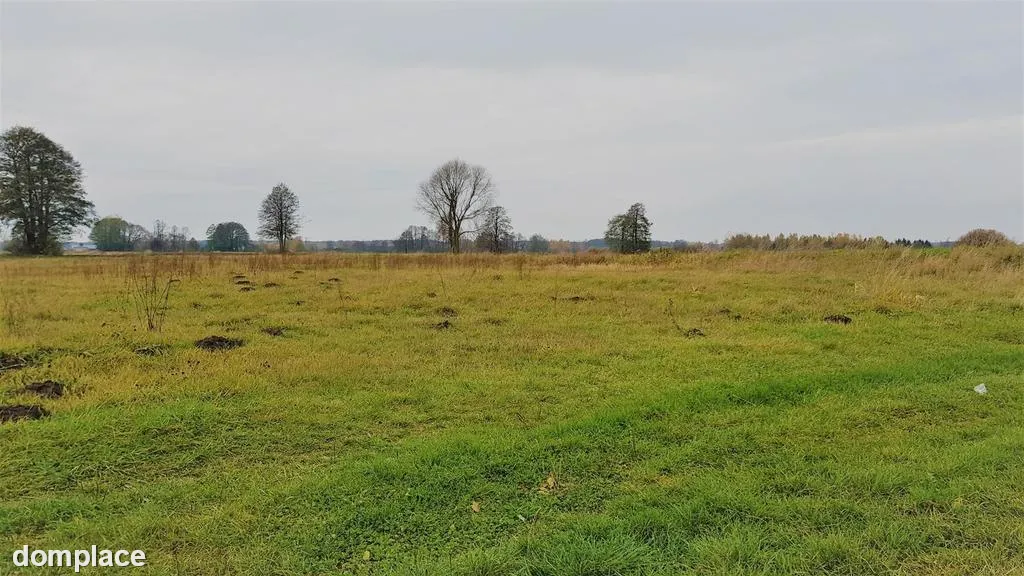 Samoklęski kol. Pierwsza - działka rolna