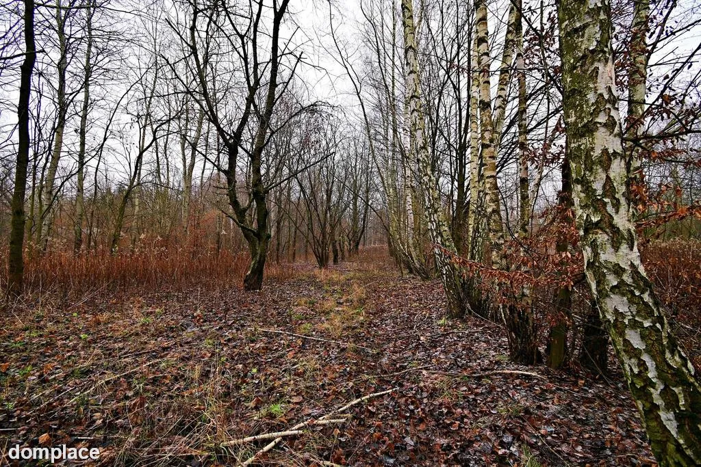 95 arów pod Kazimierzem Dolnym