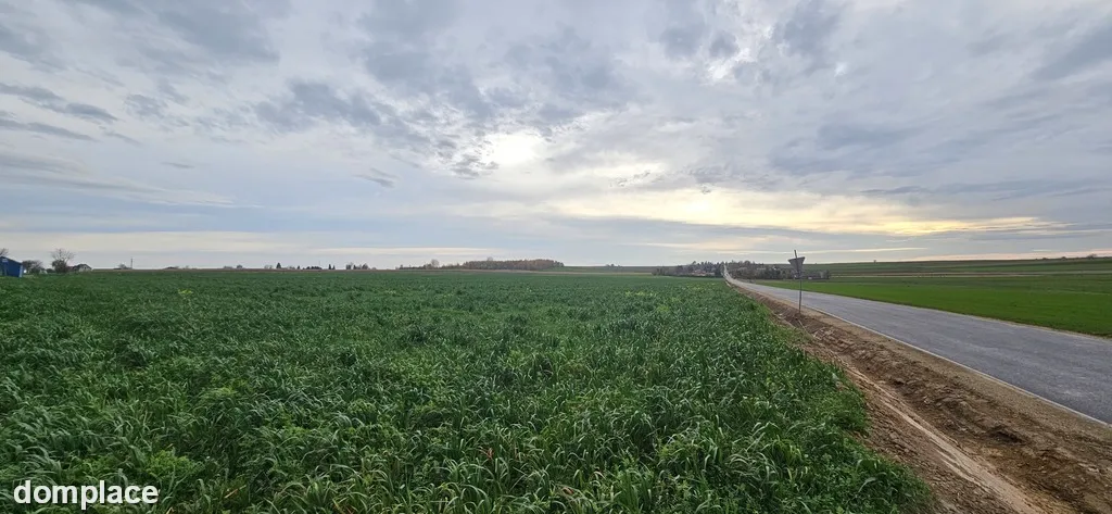 Działka, Zalesie, Wilkołaz, 11 ar, budowlana