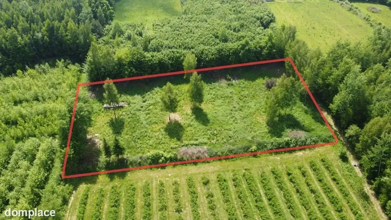 Działka 3580 m2 w Kazimierzu Dolnym 4 km od rynku.