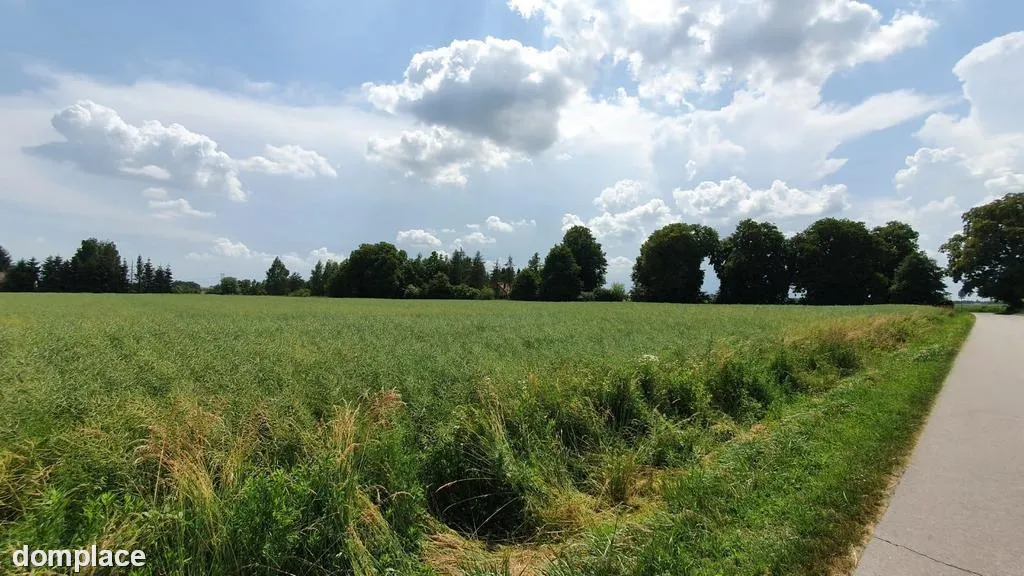 Piękna, duża działka w spokojnej okolicy - Pólko