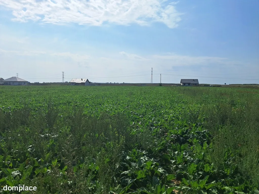 Działka budowalna 16a - Gm. Puchaczów - Turowola.