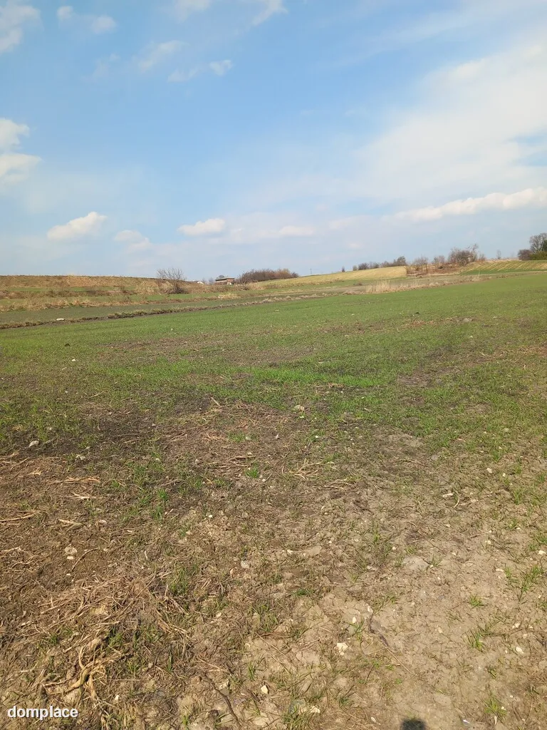 Jakubowice Murowane, gm. Wólka-działka 6600m2