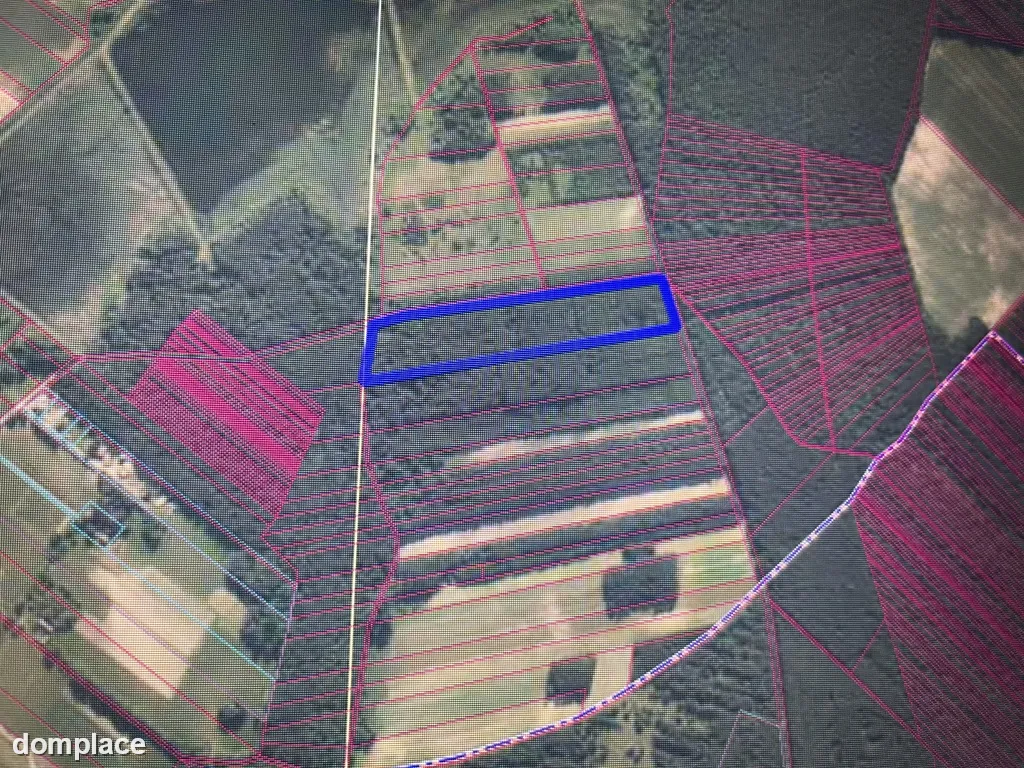Działka leśna 3,90 ha w Brodach gm. Pierzchnica.