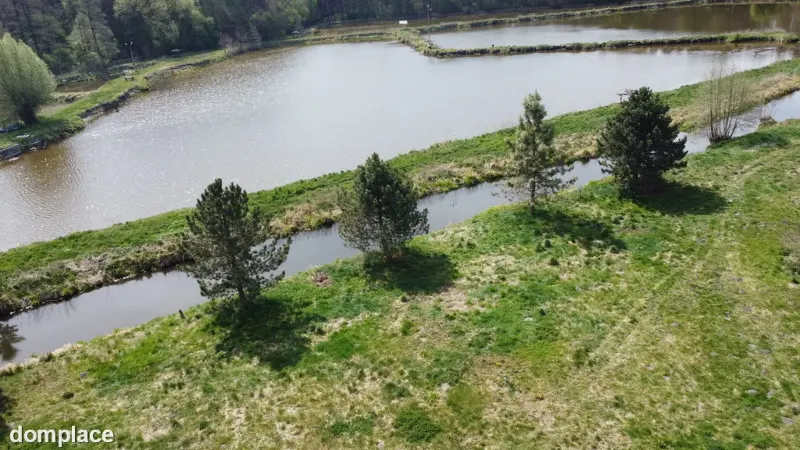 5,42 ha, Stawy rybne, las, Zemborzyce, Lublin