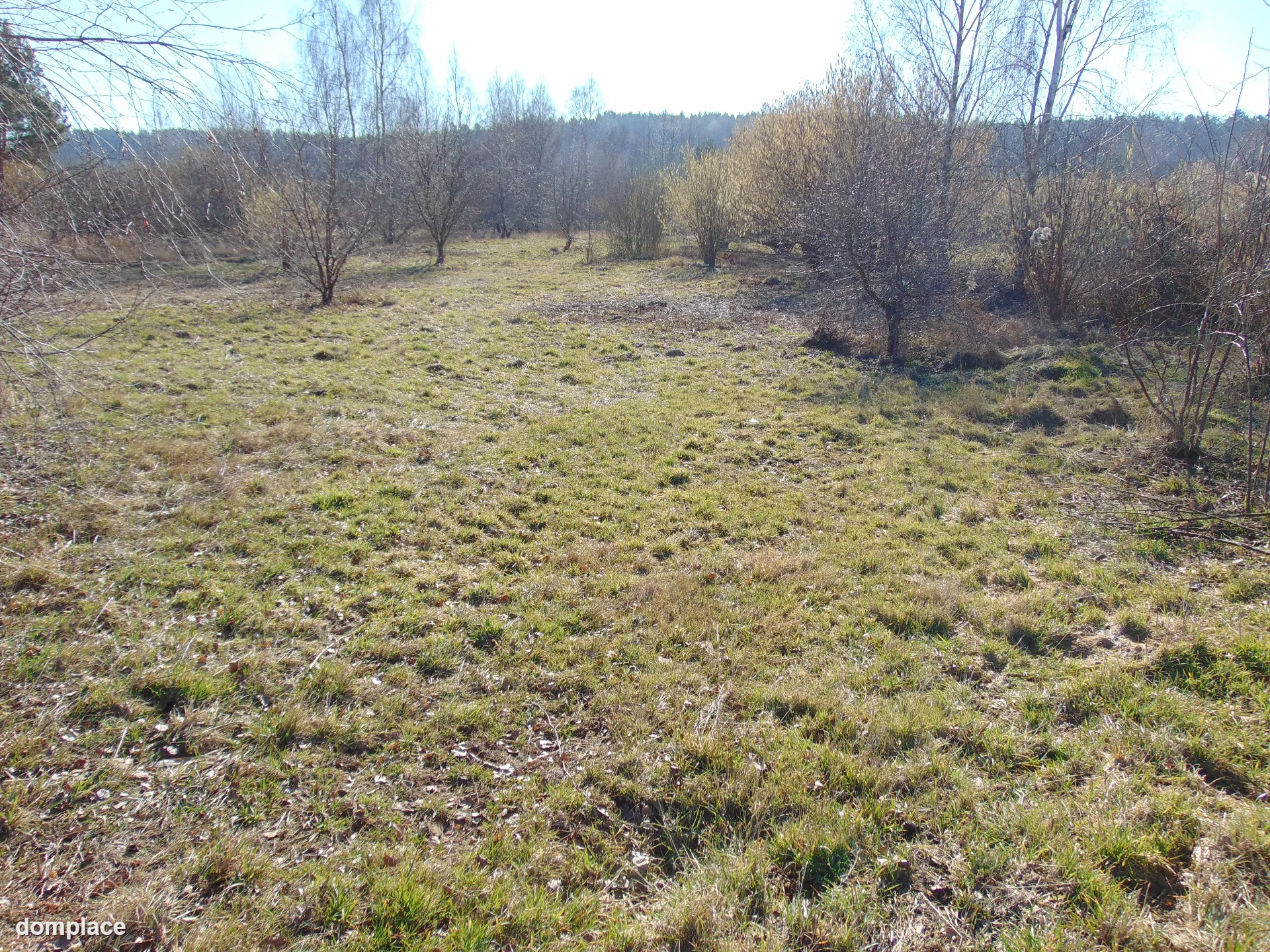 Na sprzedaż działka 4400 m2 — okolice Zielonej Góry — zdjęcie 2