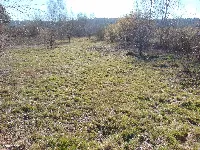 Na sprzedaż działka 4400 m2 — okolice Zielonej Góry — zdjęcie 2