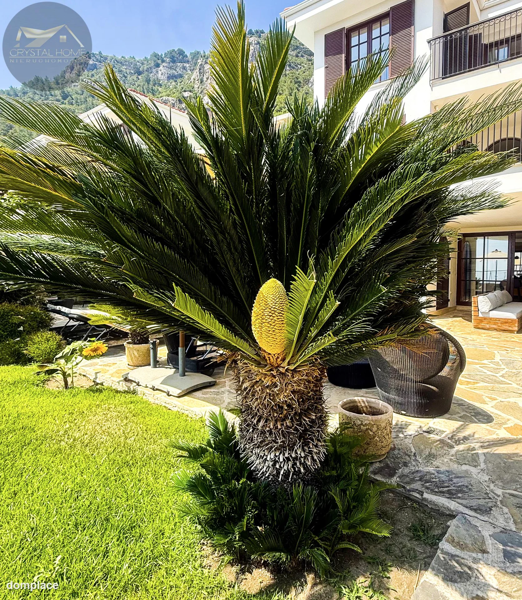 Dom — Alanya — zdjęcie 8