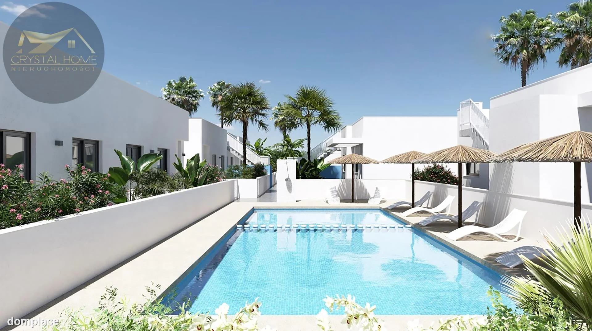 Dom — Alicante, Alicante