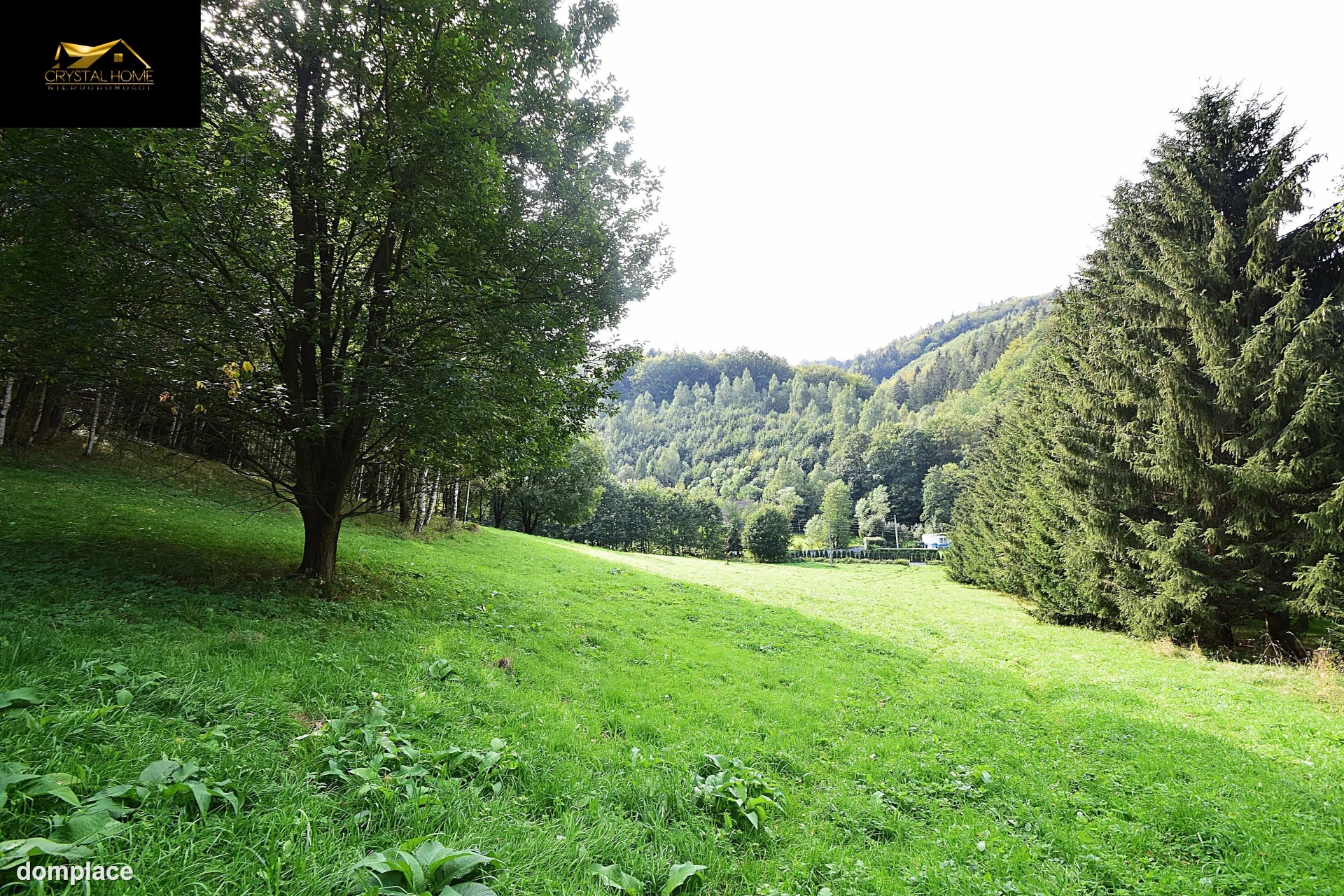 Działka — wałbrzyski, Walim