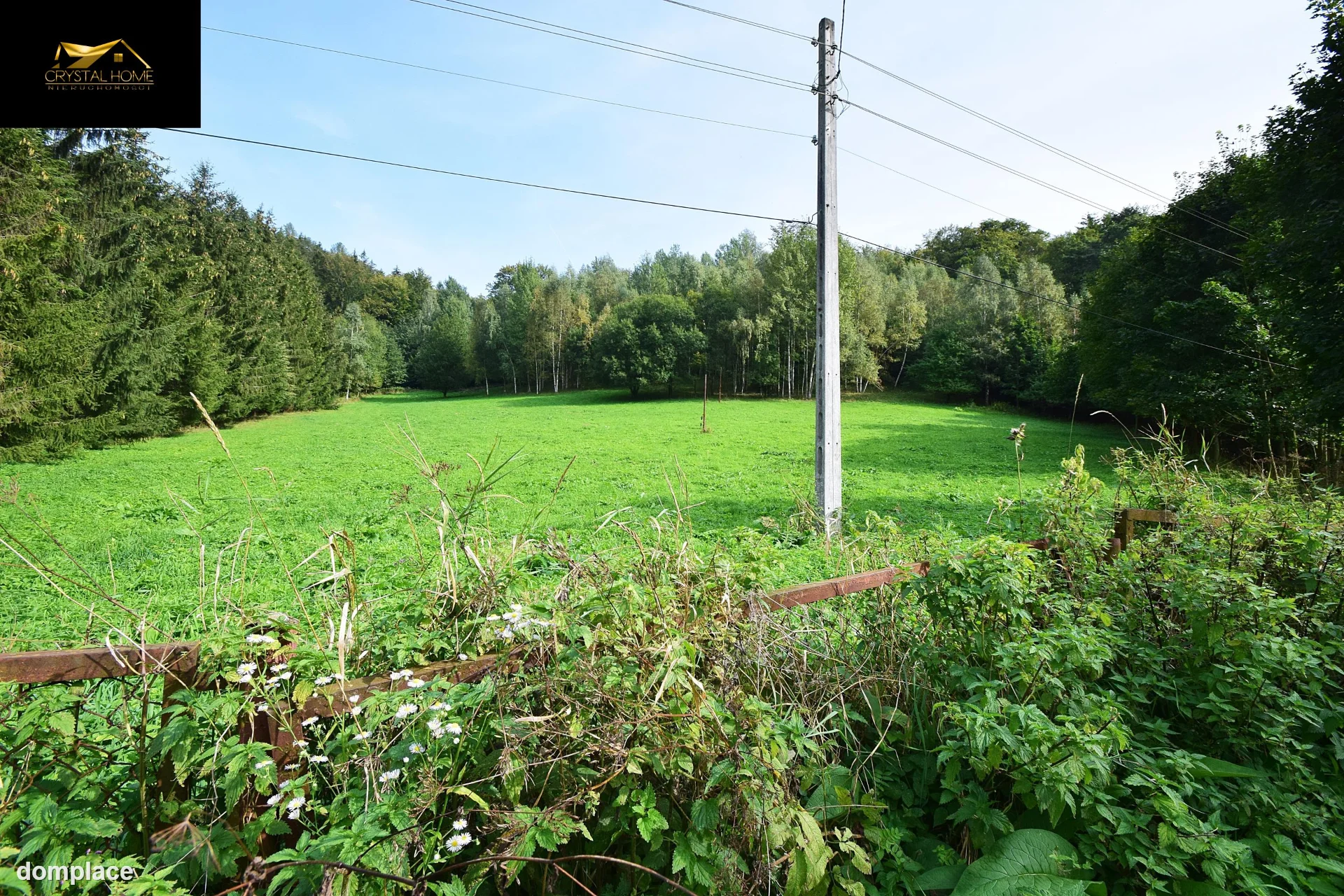 Działka — wałbrzyski, Walim — zdjęcie 7