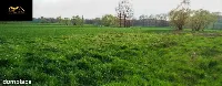 Działka — świdnicki, Żarów — zdjęcie 1
