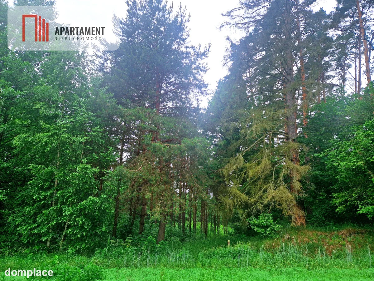 Działka inwestycyjna – hotel, pensjonat, turystyka — zdjęcie 15