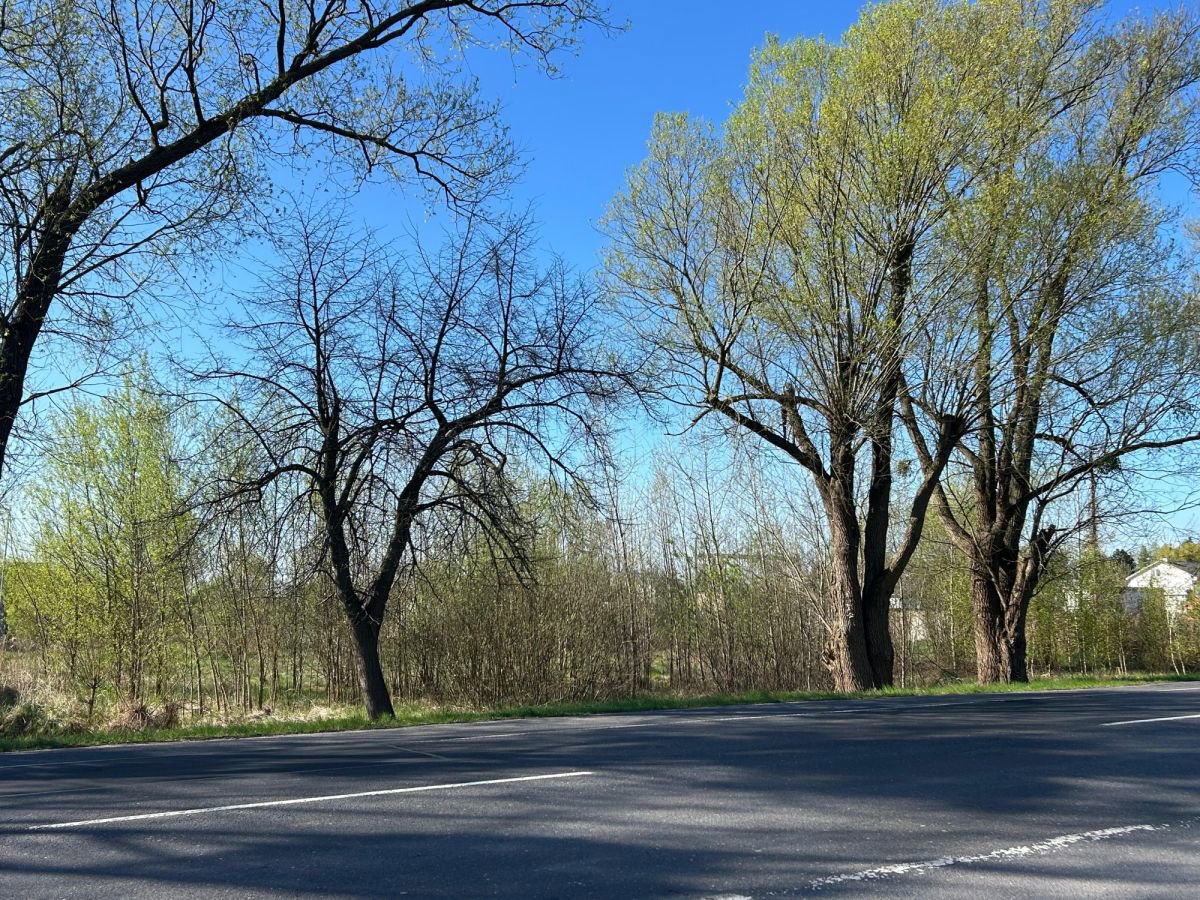Działka pod budowę biura i hali przy drodze wojewó