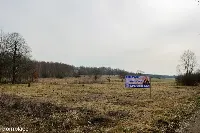 Kolonia Brzeziny Wielkie | Działka na sprzedaż — zdjęcie 4