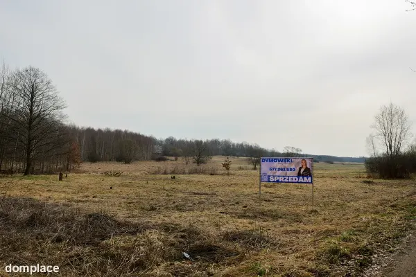 Kolonia Brzeziny Wielkie | Działka na sprzedaż — zdjęcie 4