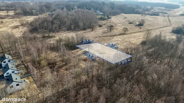 Kolonia Brzeziny Wielkie | Działka na sprzedaż — zdjęcie 2