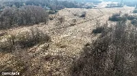 Kolonia Brzeziny Wielkie | Działka na sprzedaż — zdjęcie 6