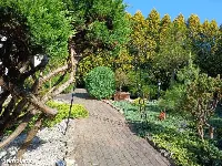 Częstochowa, Dźbów | Dom na sprzedaż — zdjęcie 4