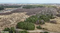 Częstochowa, Goździków | Działka wynajem/dzierżawa — zdjęcie 6