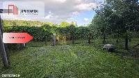Działka ROD Prądy, domek całoroczny — zdjęcie 10