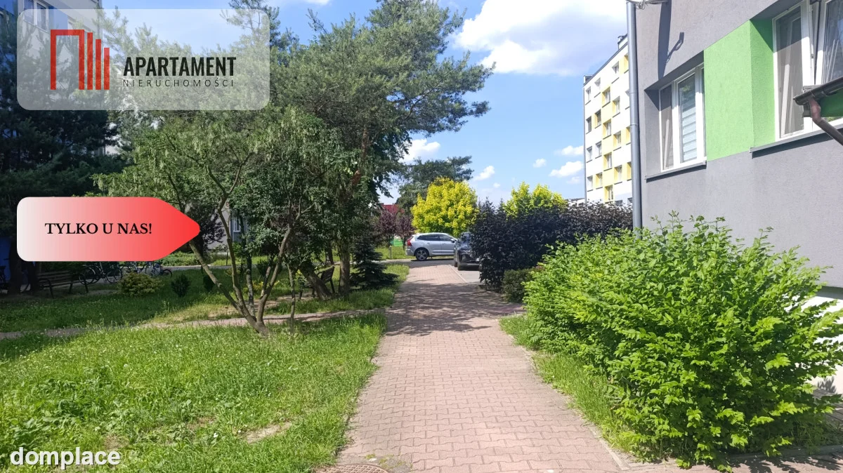 Jasne/2pokoje/2piętro/po generalce/wysoki standard — zdjęcie 12
