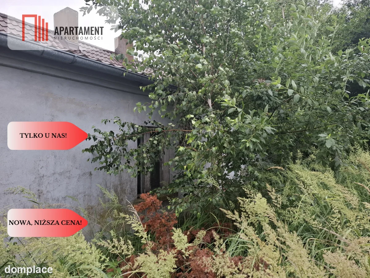 Dom na wsi / Dwie działki 7300 m2/ Dolina Baryczy — zdjęcie 11