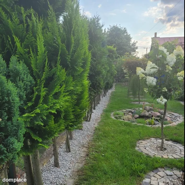 Działka Rekreacyjna — zdjęcie 3
