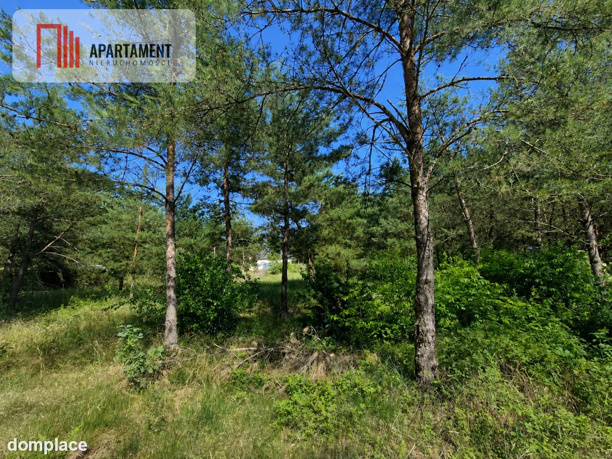 Działka 1139 m² | Kameralny zagajnik!! — zdjęcie 3
