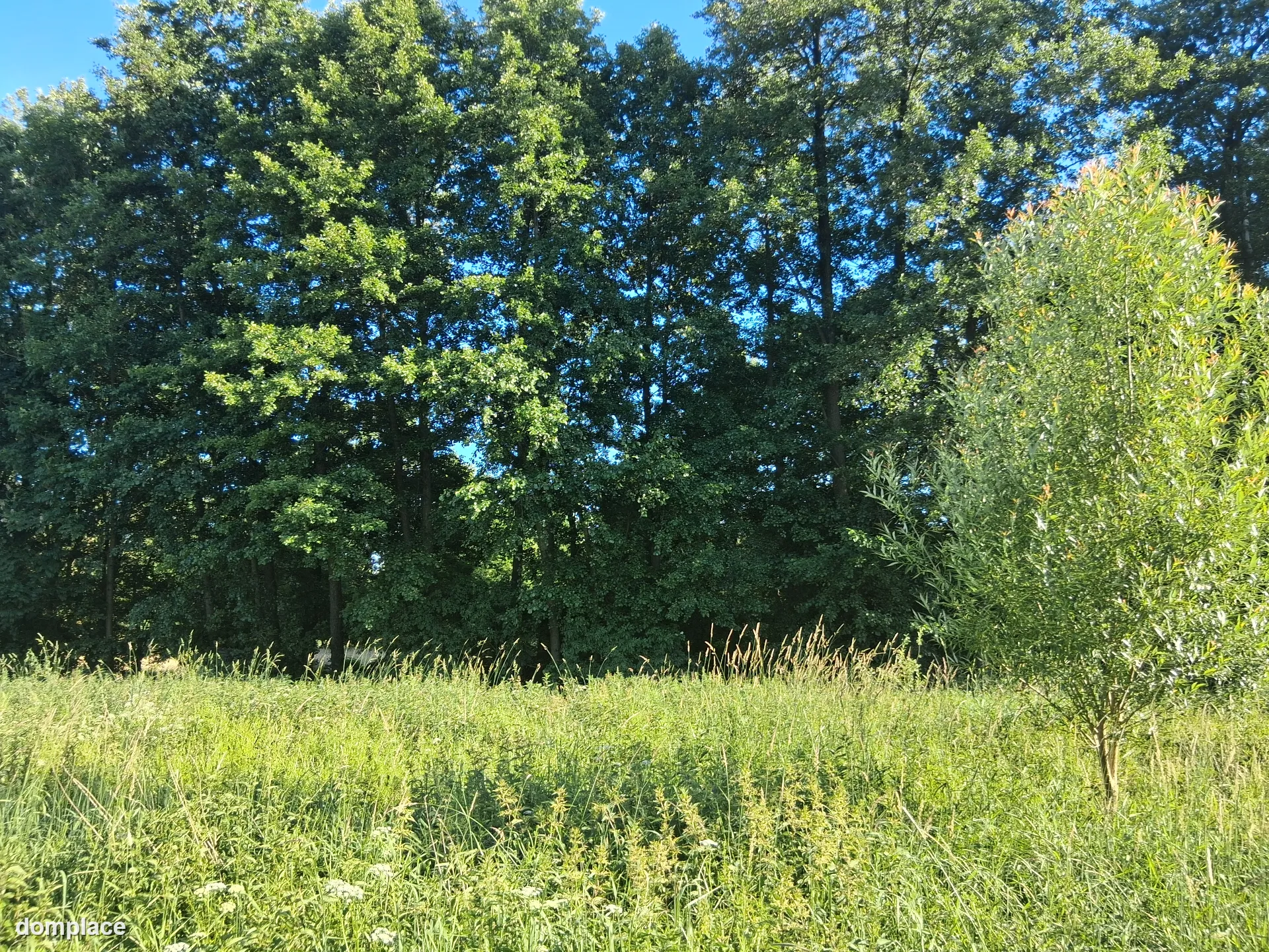DZIAŁKA Z WARUNKAMI ZABUDOWY POD NOWYM TOMYŚLEM --> GLINNO