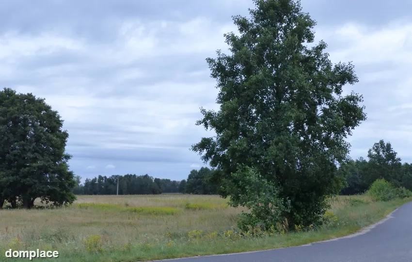 4 działki rolne z warunkami zabudowy — zdjęcie 4