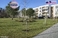 Słoneczna kawalerka | Osiedle Szumilas — zdjęcie 8