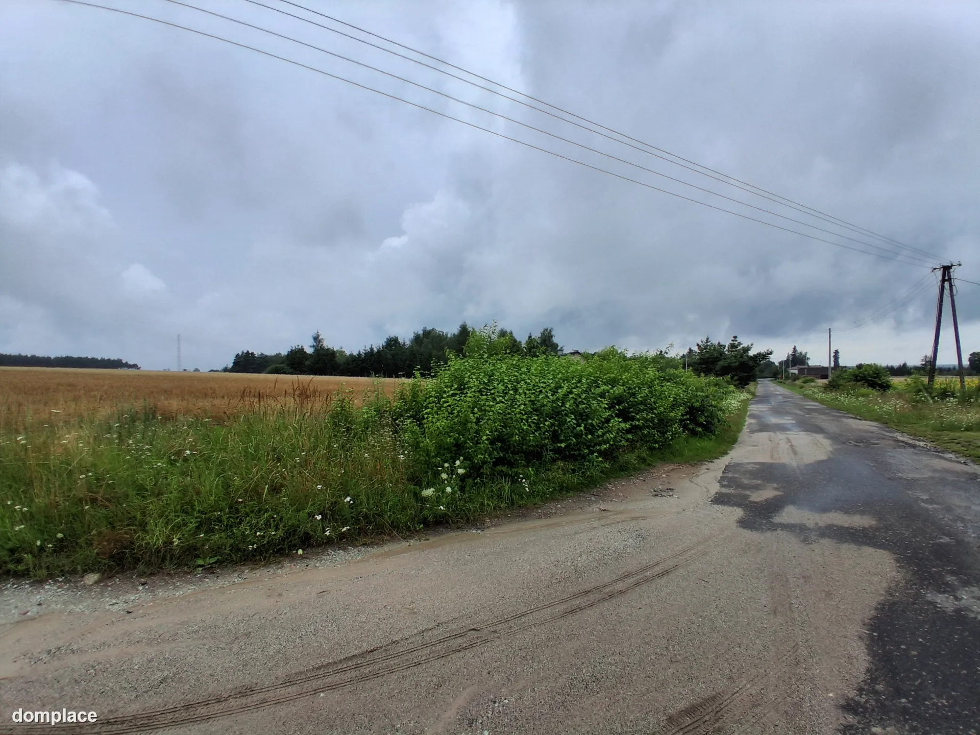 Sprzedam 1,1 hektara w Grońsku. Blisko lasu. Przy drodze. — zdjęcie 8