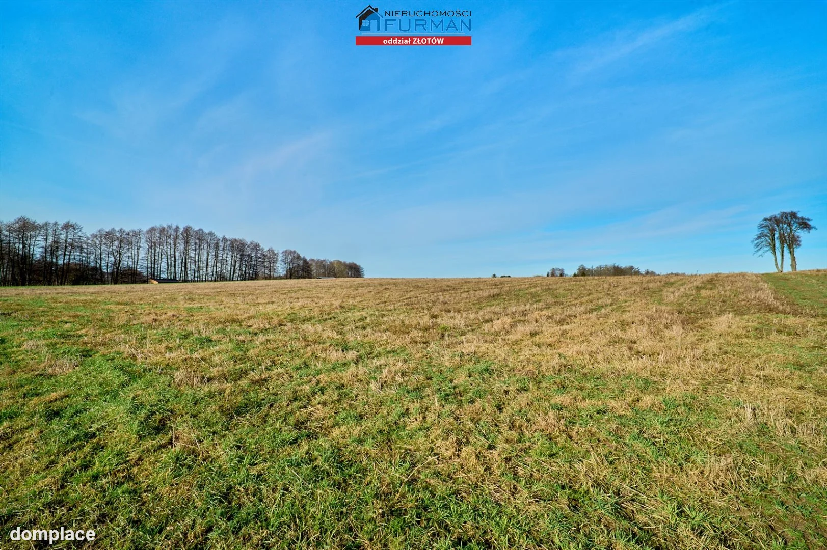 Działka — Kleszczyna — zdjęcie 6