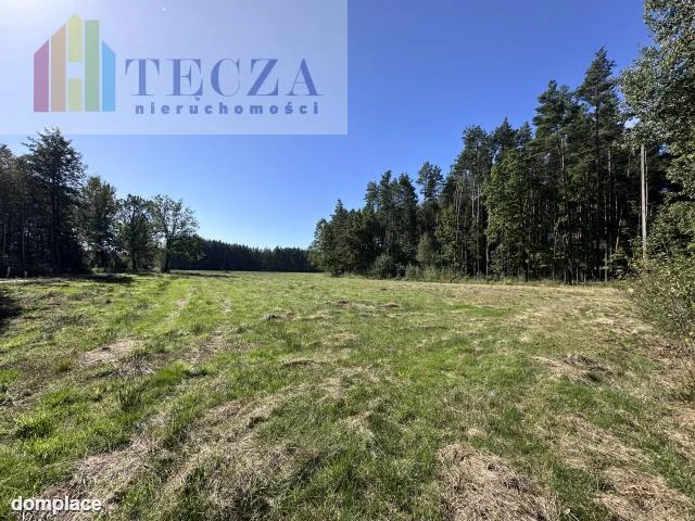 Działka — wołomiński, Strachówka — zdjęcie 11