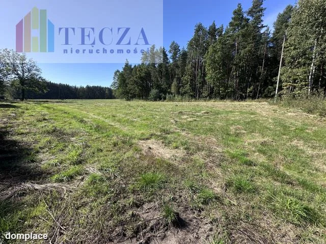 Działka — wołomiński, Strachówka — zdjęcie 5