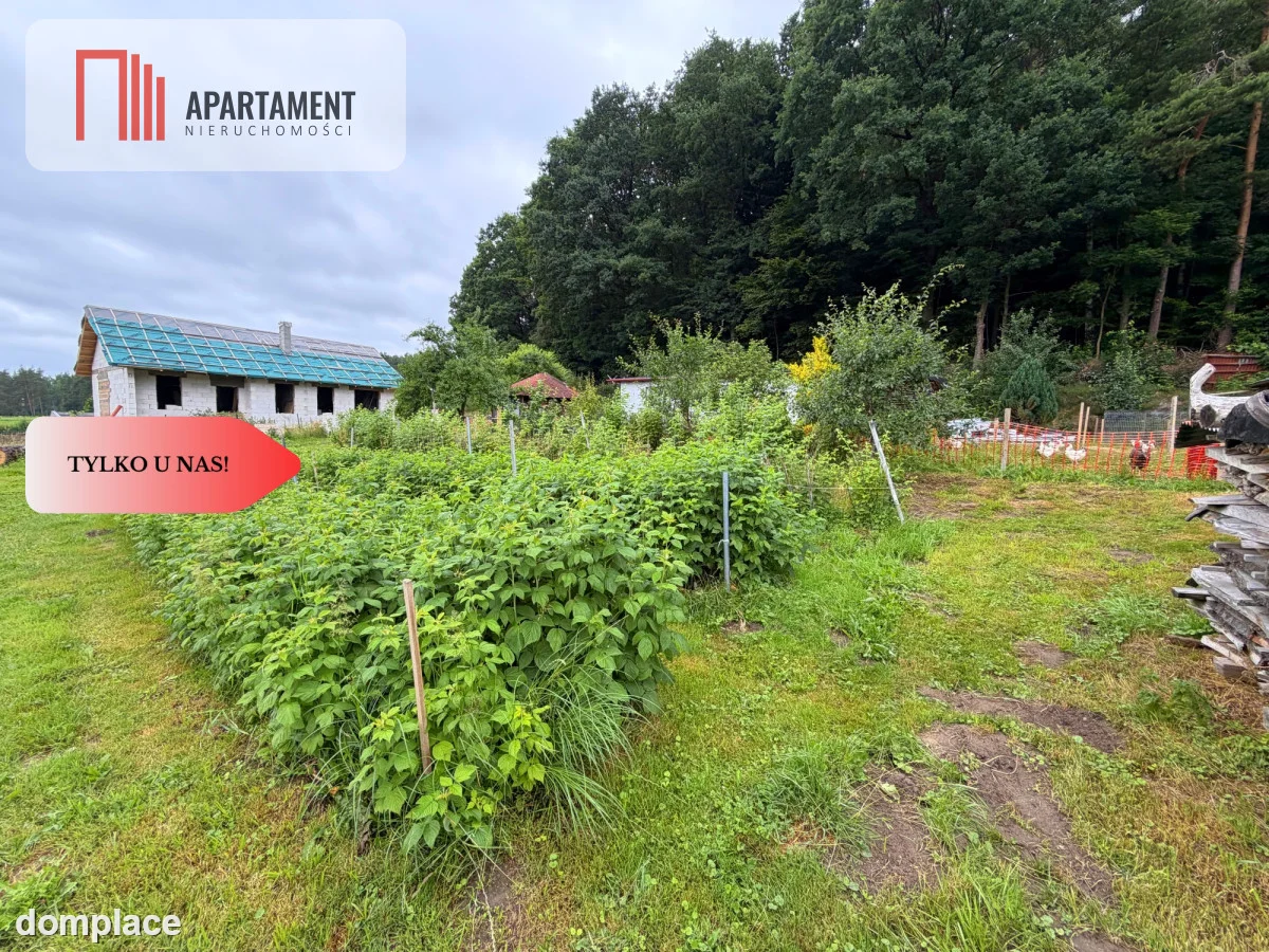 Dom 200 m² z dużym potencjałem i działką 3000m² — zdjęcie 39