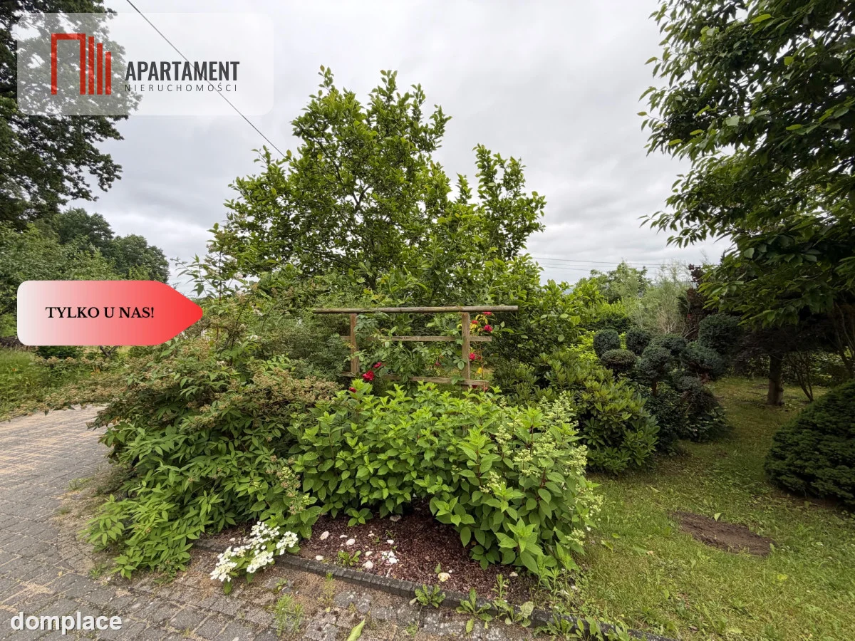 Dom 200 m² z dużym potencjałem i działką 3000m² — zdjęcie 40