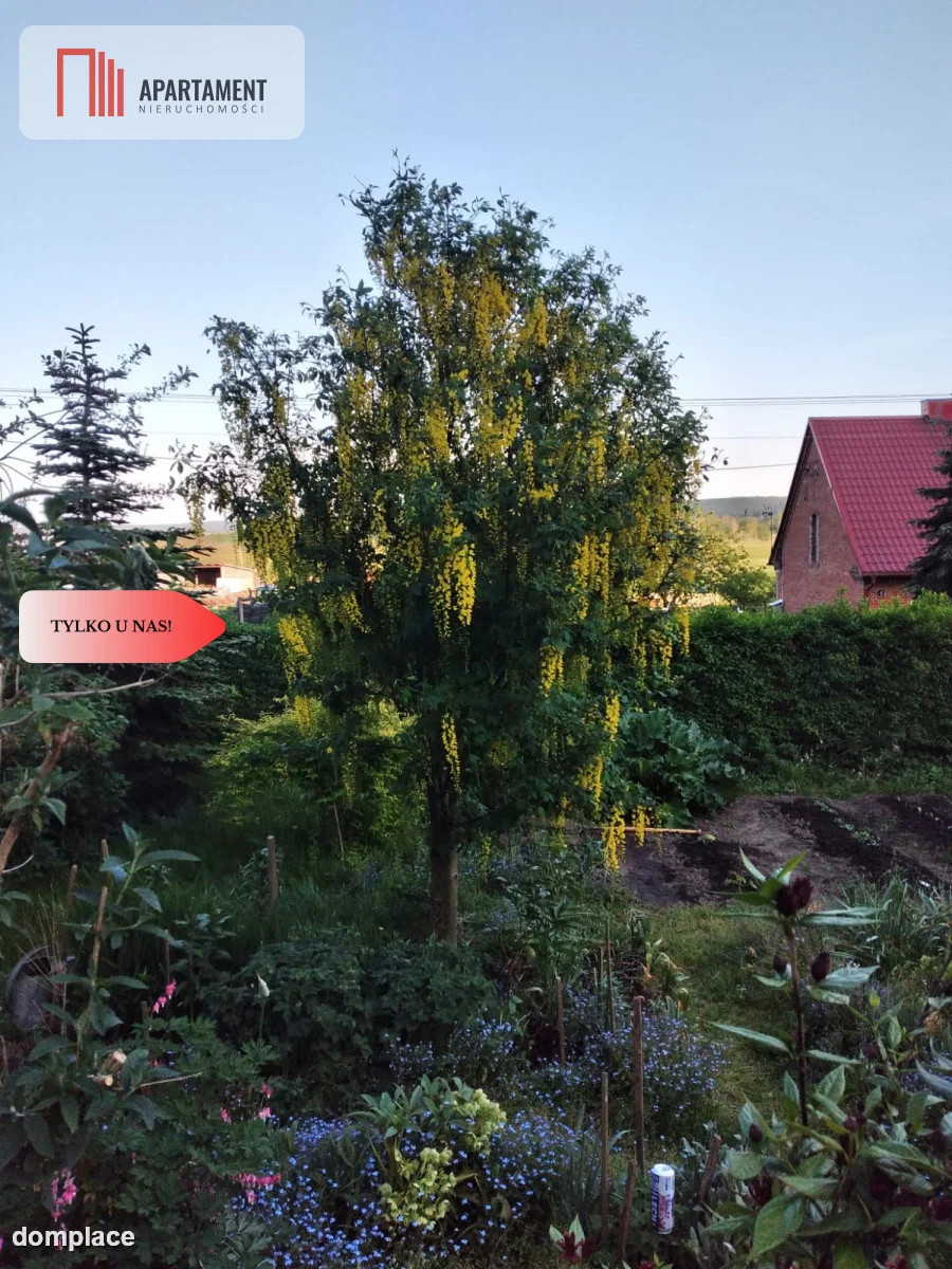 Dom 200 m² z dużym potencjałem i działką 3000m² — zdjęcie 9