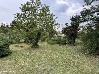 Częstochowa, ul. Bór | Działka ROD — zdjęcie 2