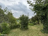 Częstochowa, ul. Bór | Działka ROD — zdjęcie 3