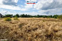 Działka — Krzyż Wielkopolski — zdjęcie 9