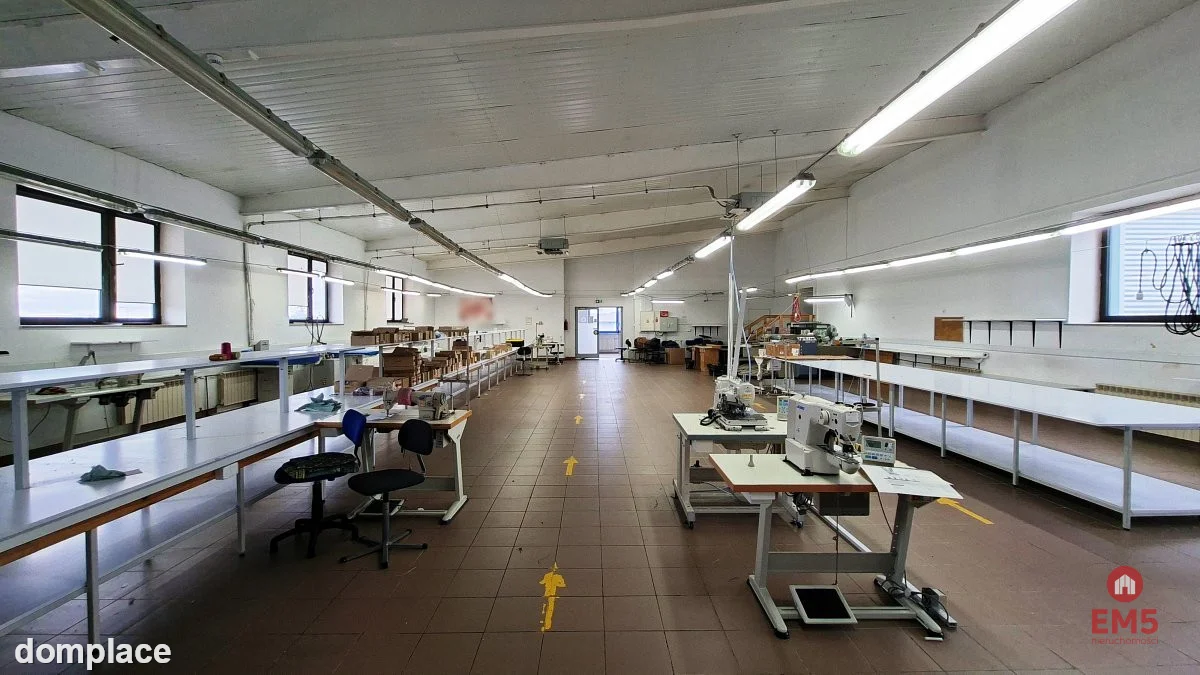 Lokal użytkowy 300 m2 na wynajem — zdjęcie 4
