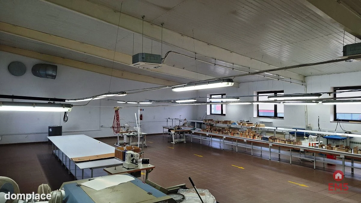 Lokal użytkowy 300 m2 na wynajem — zdjęcie 6