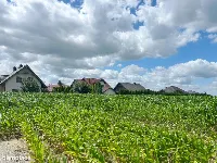 Działka w Gowarzewie pod wymarzony dom! — zdjęcie 4